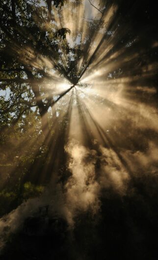 wonderlane-_rmULTYorYQ-unsplash wonderlane-_rmULTYorYQ-unsplash